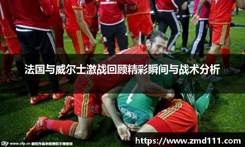 乐发Vll官网