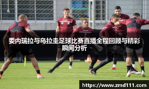 乐发Vll官网