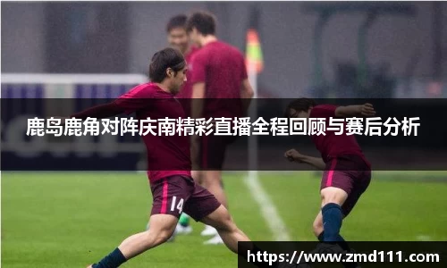 乐发Vll官网